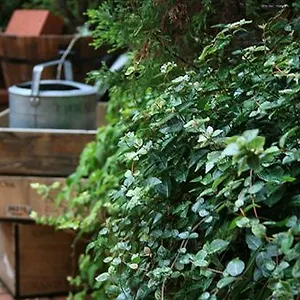 Отель Garden, Киото